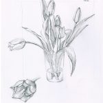 A2_Gestalten_Jan Fischer_Tulpenmetamorphose Tag 3